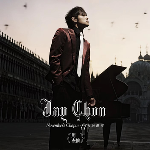 最新猫咪www免费人成
