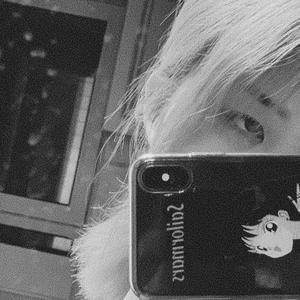 最新猫咪www免费人成
