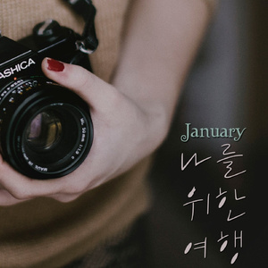 最新猫咪www免费人成
