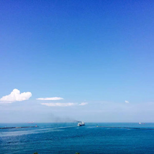 最新猫咪www免费人成
