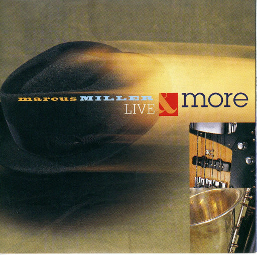 最新猫咪www免费人成
